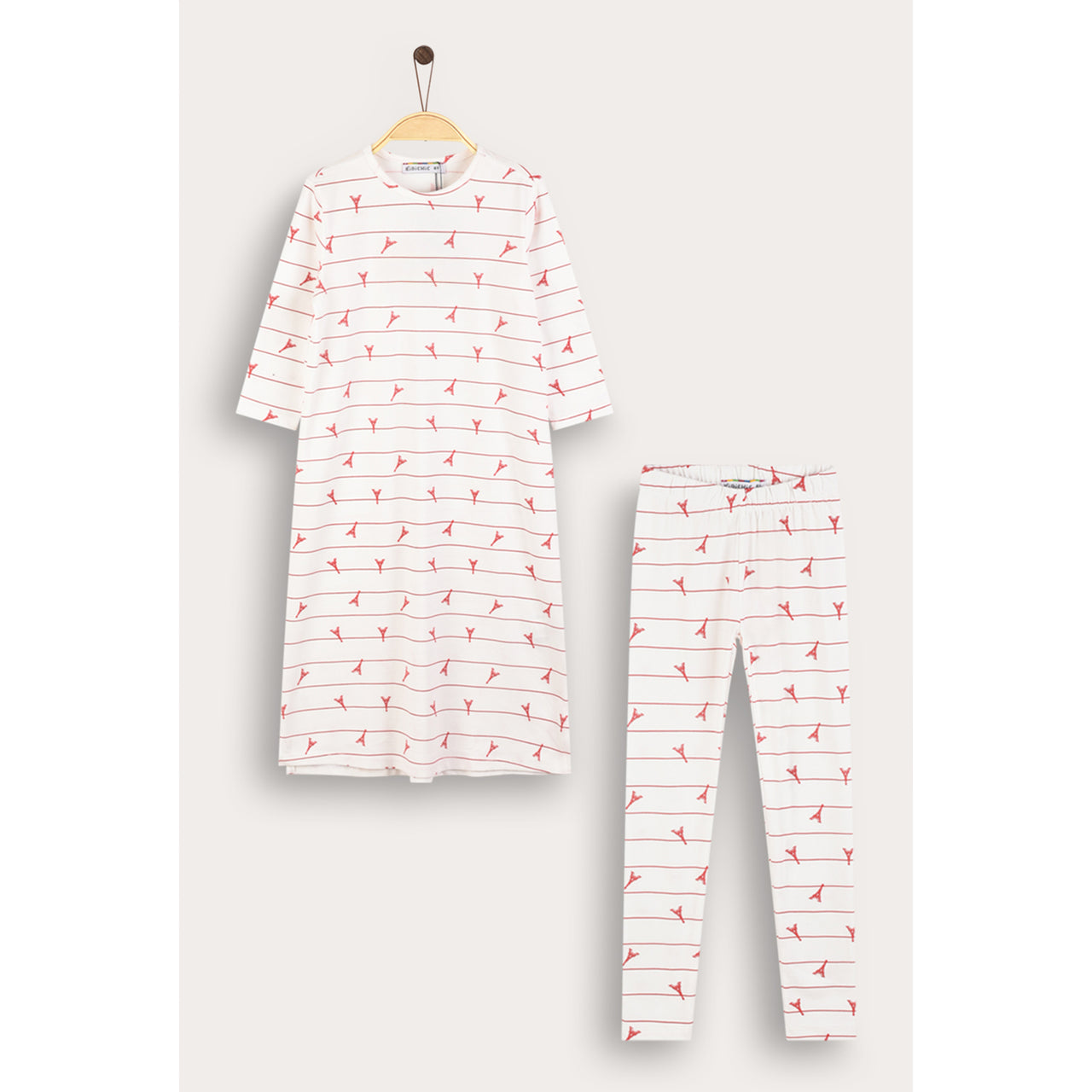Paris Nightgown Set