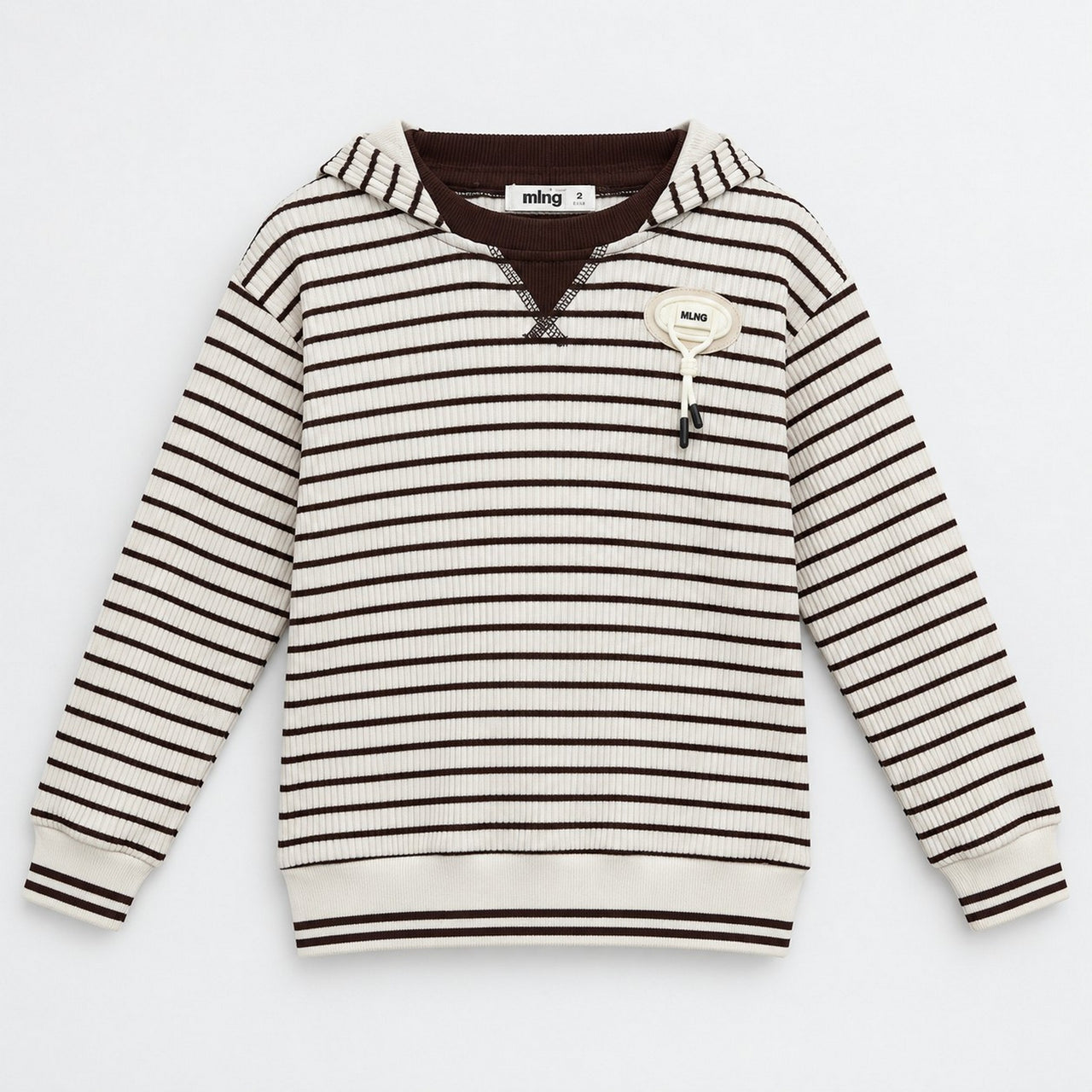 Melange Striped Hoodie