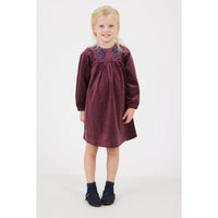 Velour Dress