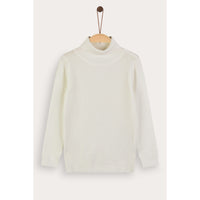 Knit Turtleneck