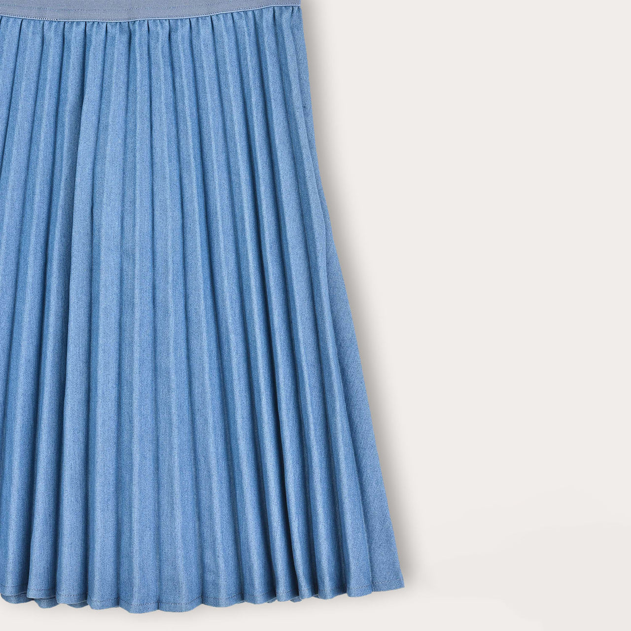 Pleated Skirt