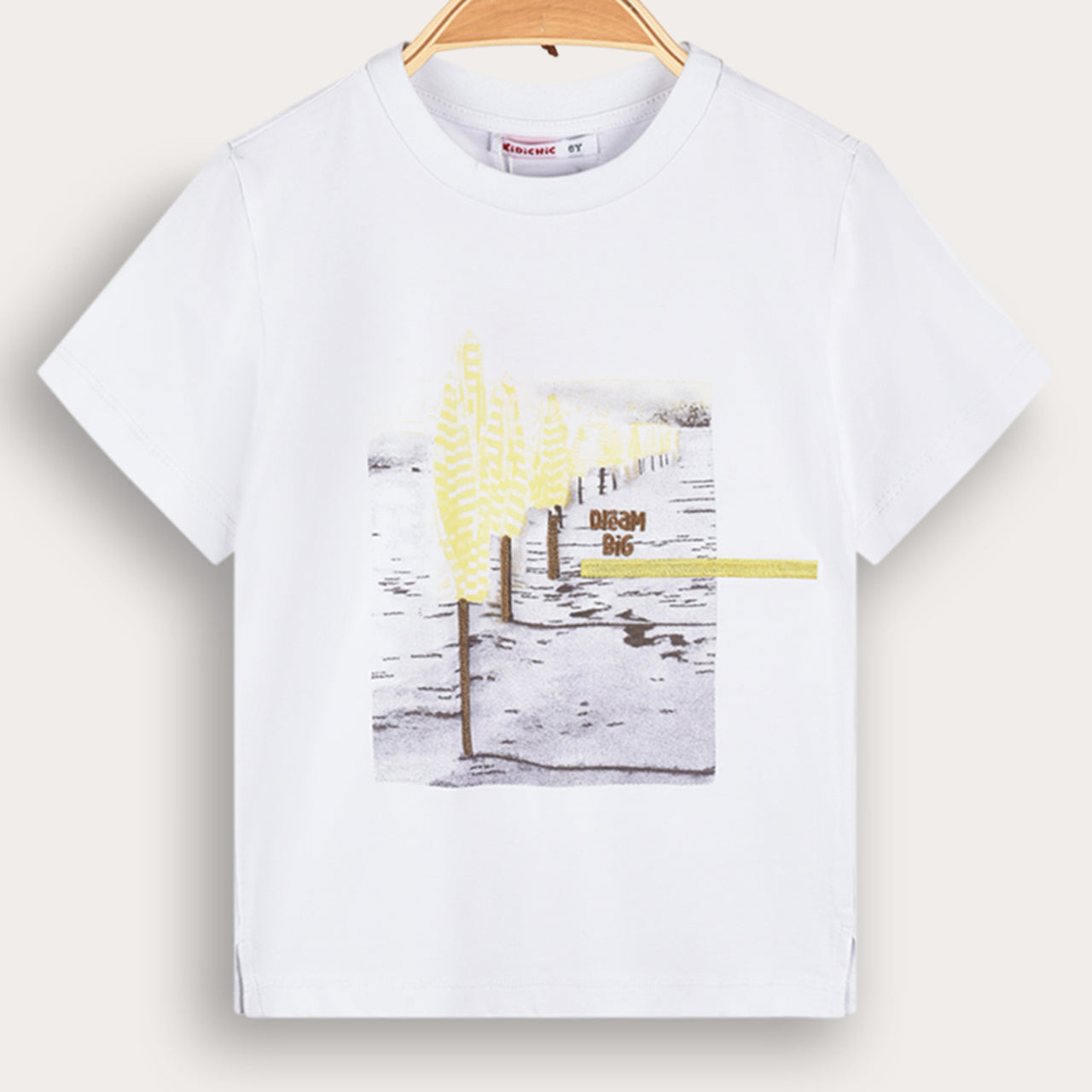 Boys S.S Artwork Tshirt