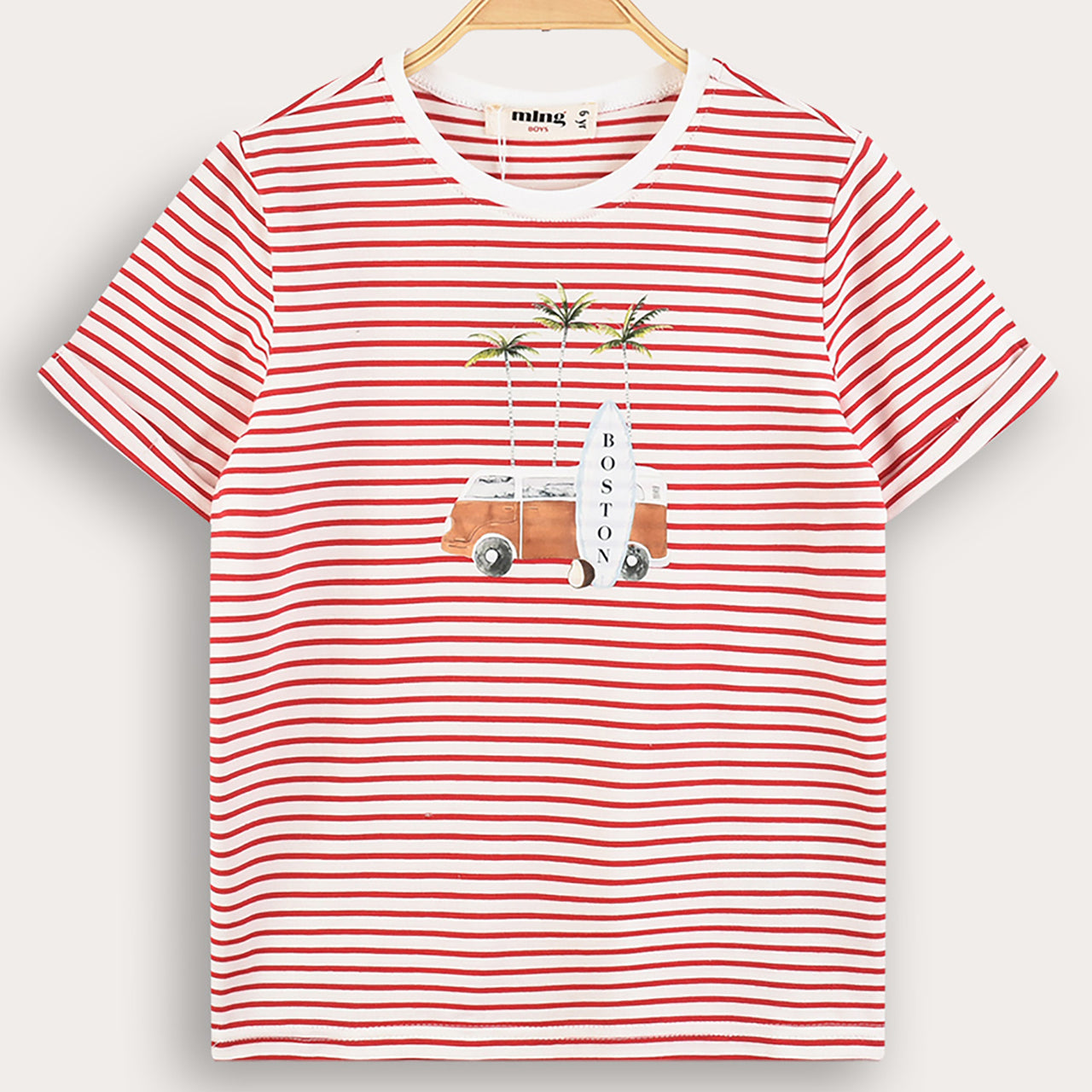 Melange Boston Striped Top