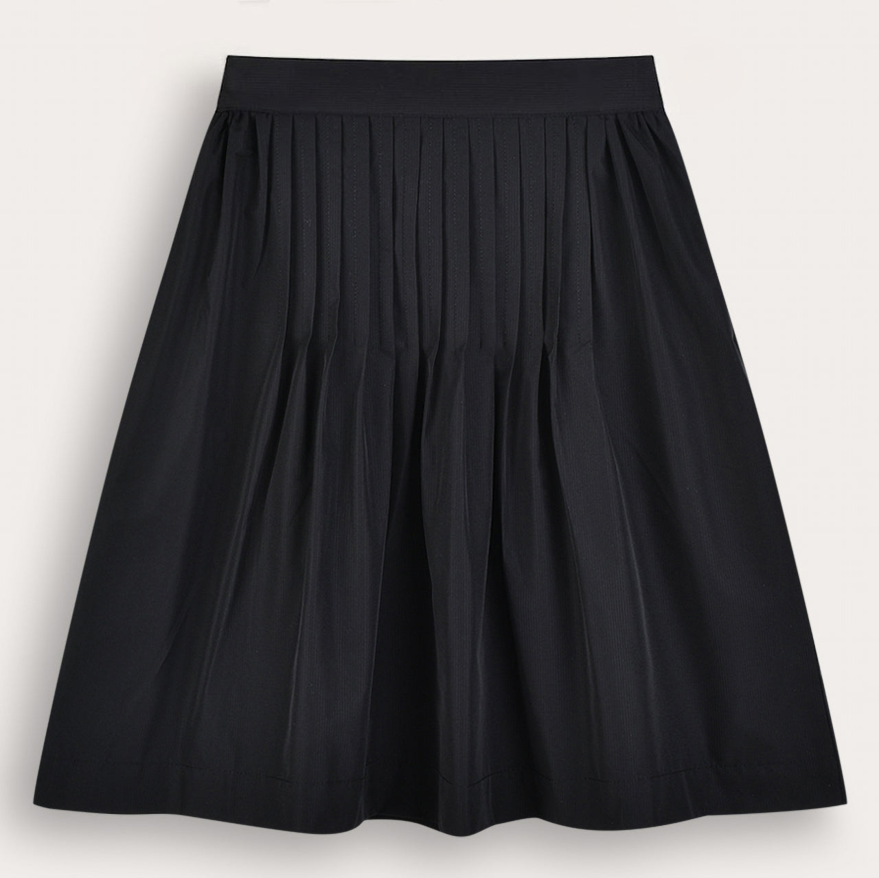 Front Pleated Skirt