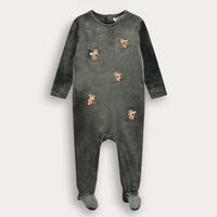 Baby Bear Stretchie