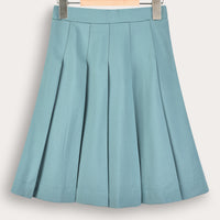 Pleated Smooth Skirt