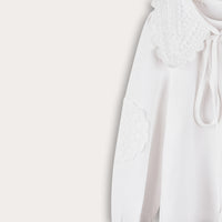 Elegant Collar Shirt